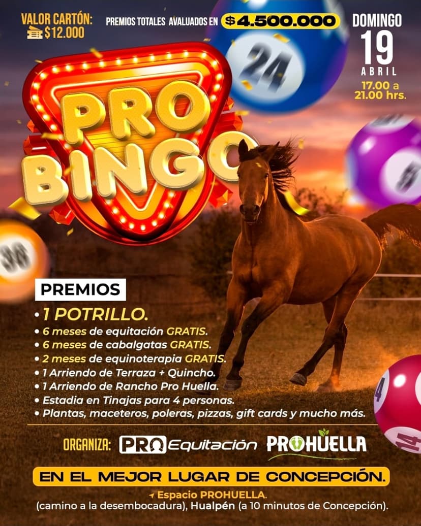 Pro Bingo – 19 de Abril 2026 en Espacio Prohuella