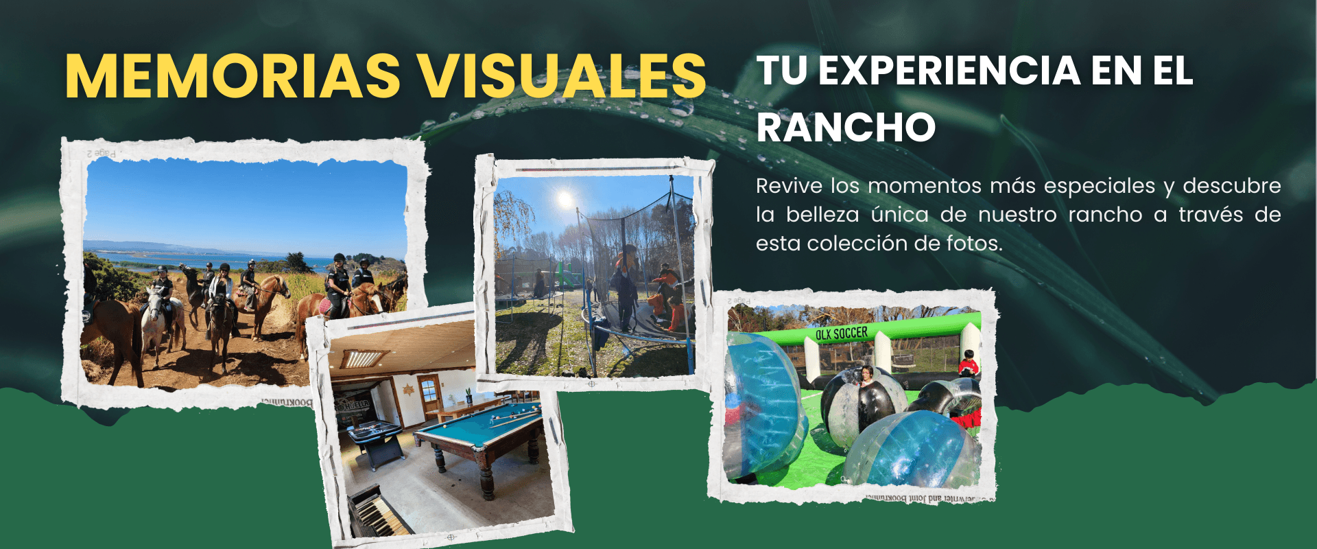 Banner rancho prohuella