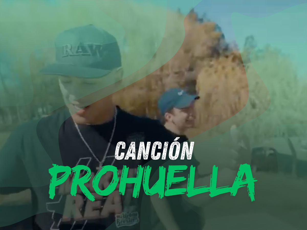 Nuestra canción — Prohuella