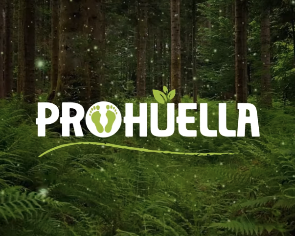 ¿Qué hacemos en Prohuella?